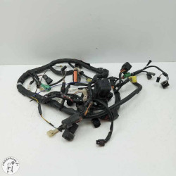 Faisceau éléctrique  Suzuki 650 sfv Gladius 2014 - Cassetom - Nos pieces motos