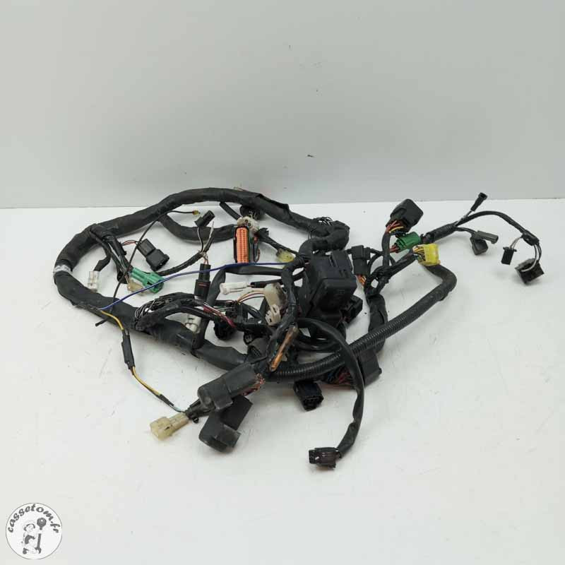 Faisceau éléctrique  Suzuki 650 sfv Gladius 2014 - Cassetom - Nos pieces motos