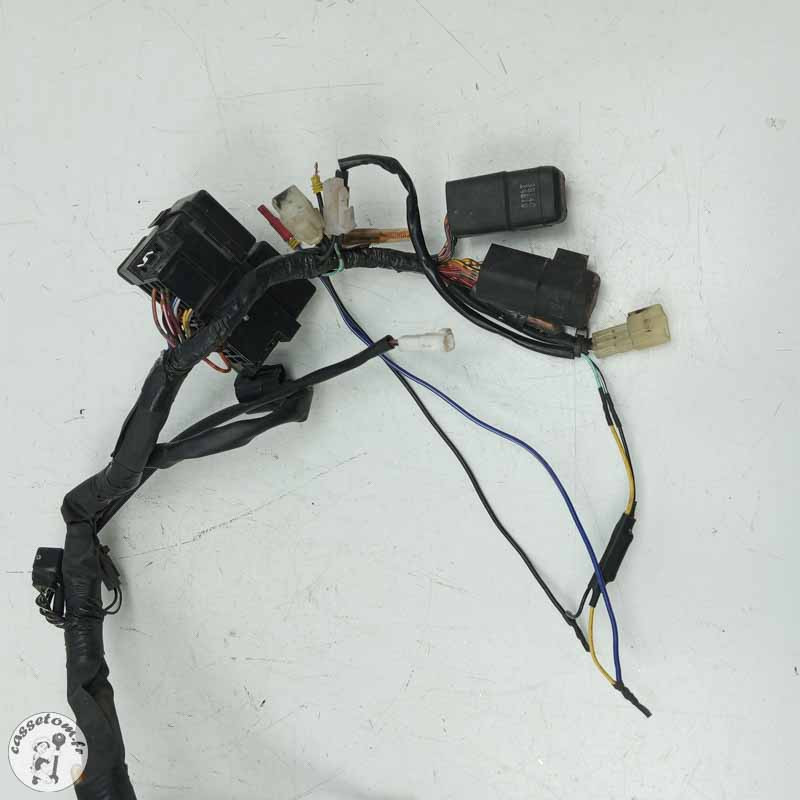 Faisceau éléctrique  Suzuki 650 sfv Gladius 2014 - Cassetom - Nos pieces motos