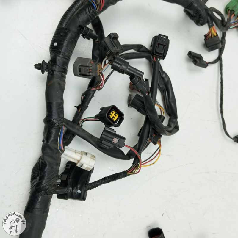 Faisceau éléctrique  Suzuki 650 sfv Gladius 2014 - Cassetom - Nos pieces motos