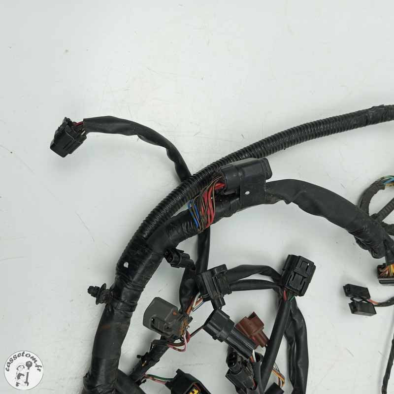 Faisceau éléctrique  Suzuki 650 sfv Gladius 2014 - Cassetom - Nos pieces motos