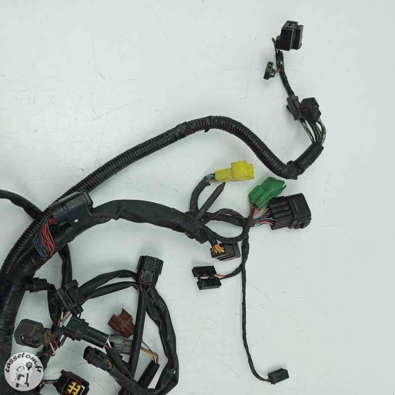 Faisceau éléctrique  Suzuki 650 sfv Gladius 2014 - Cassetom - Nos pieces motos