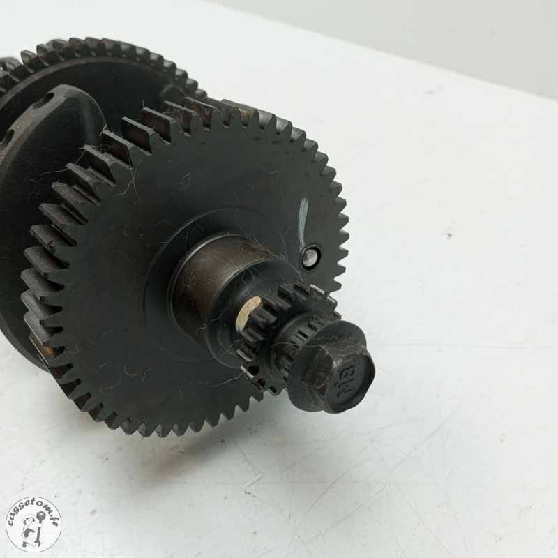 Vilebrequin Kawasaki 1000 z 2011 Occasion | CasseTom