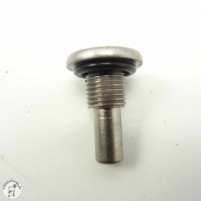 Vis de fixation de patin de chaîne de distribution | CasseTom