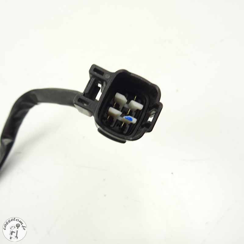 Faisceau secondaire (sonde pression huile) Kawasaki | CasseTom