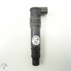 Bobine crayon Kawasaki 1000 z 2011 Occasion | CasseTom