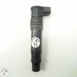 Bobine crayon Kawasaki 1000 z 2011 Occasion | CasseTom