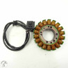 Stator Kawasaki 1000 z 2011 Occasion — Moto | CasseTom