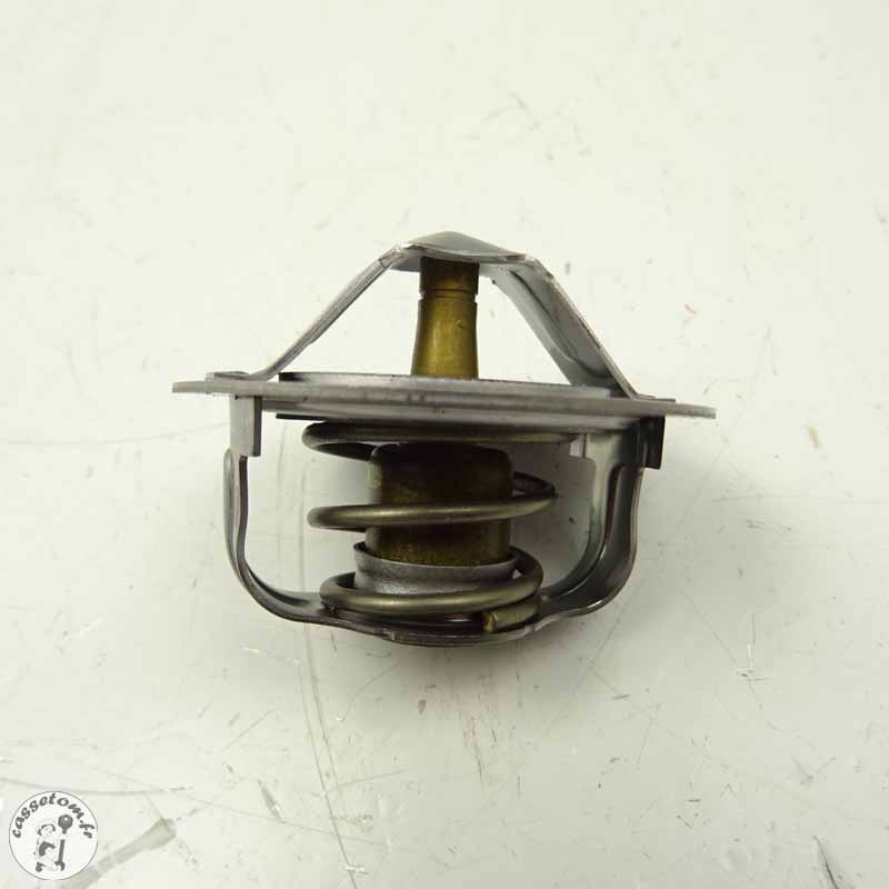 Thermostat Kawasaki 1000 z 2011 Occasion | CasseTom