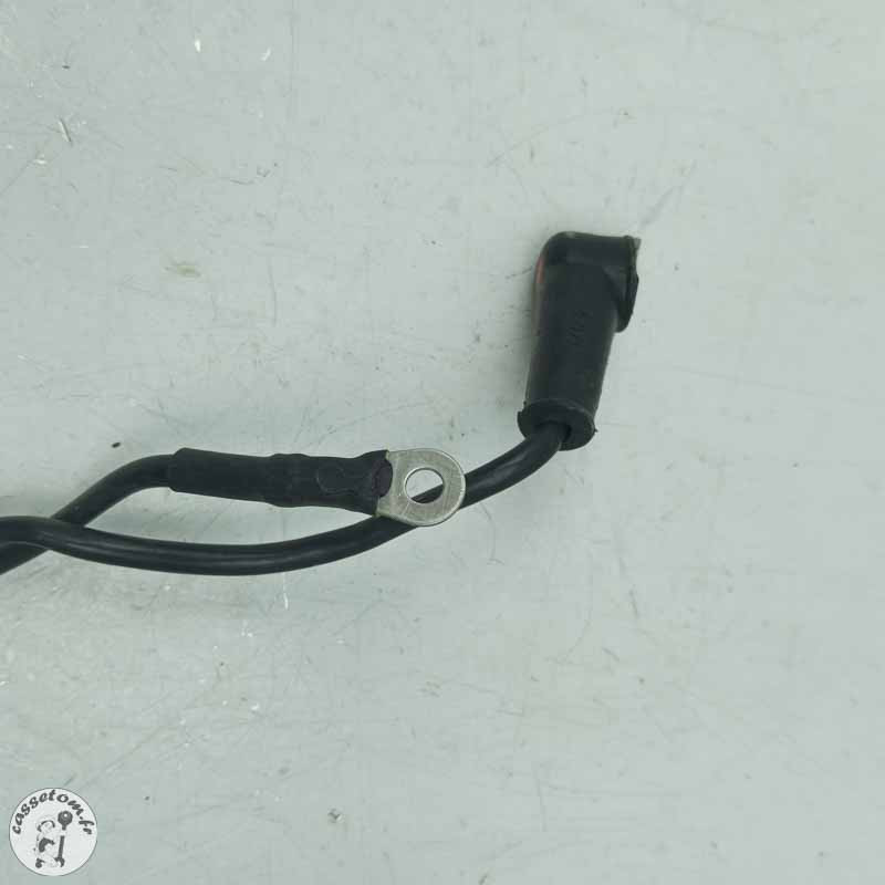 Câbles de batterie  Aprilia 660 RS 2024 - Cassetom - Nos pieces motos