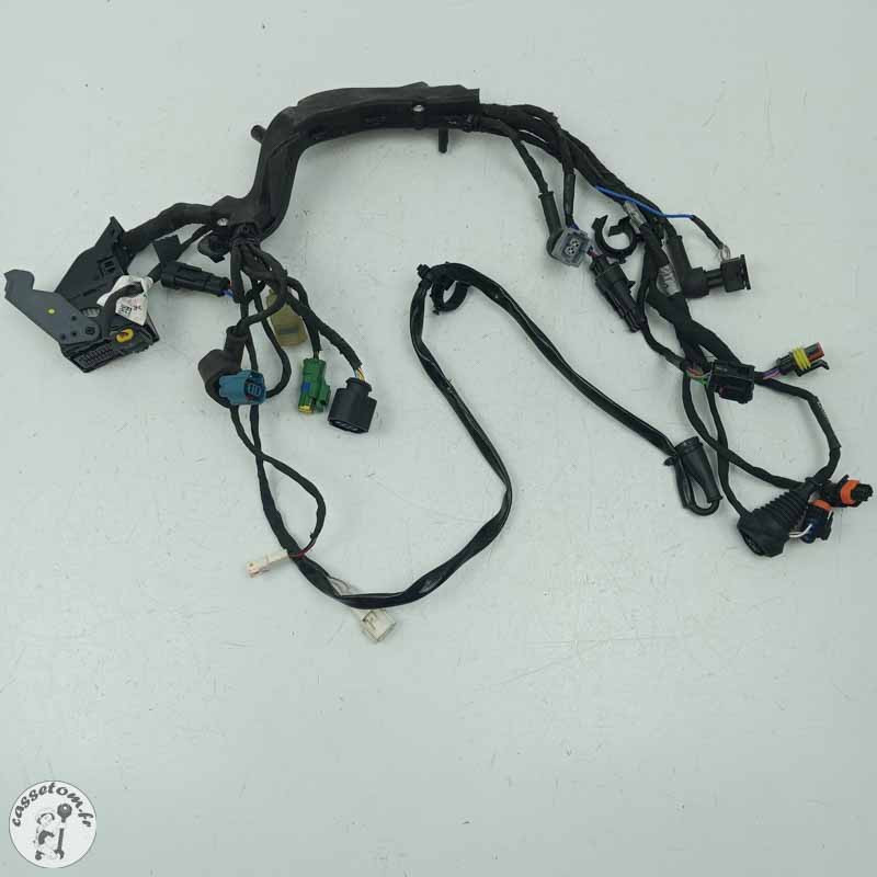 Faisceau électrique  Aprilia 660 RS 2024 - Cassetom - Nos pieces motos