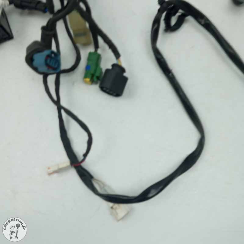 Faisceau électrique  Aprilia 660 RS 2024 - Cassetom - Nos pieces motos