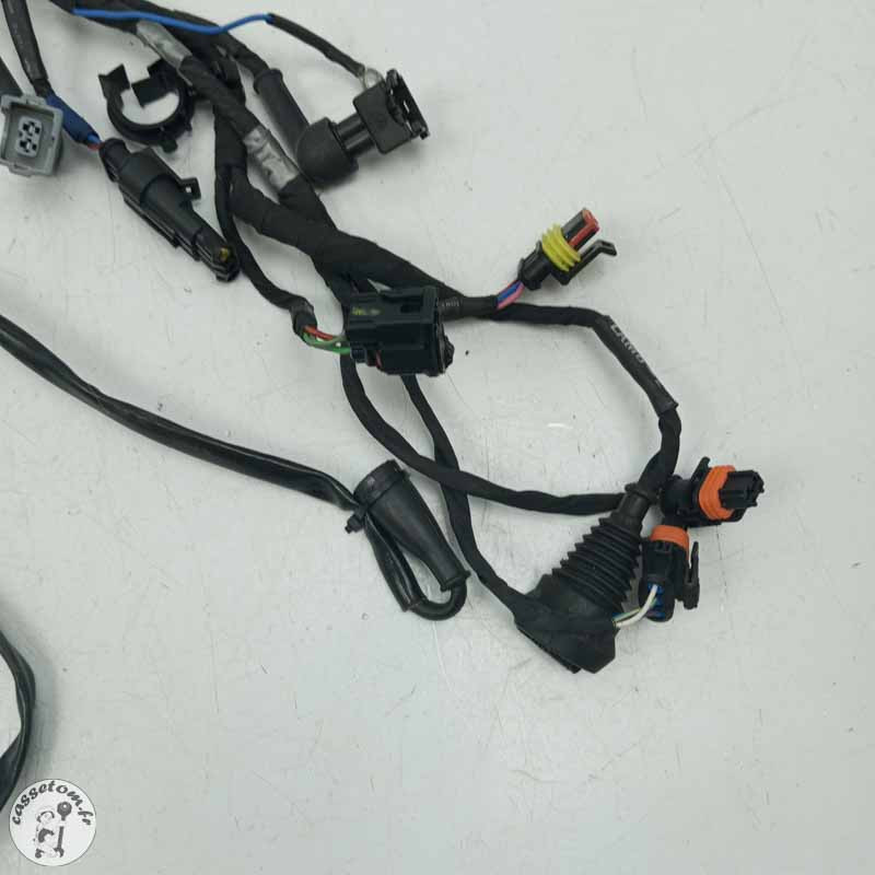 Faisceau électrique  Aprilia 660 RS 2024 - Cassetom - Nos pieces motos