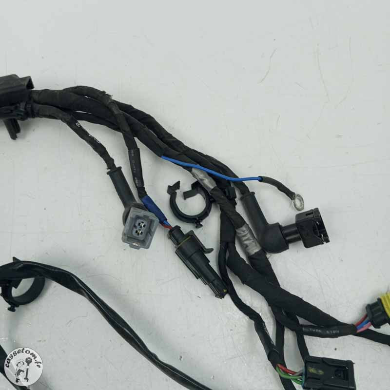 Faisceau électrique  Aprilia 660 RS 2024 - Cassetom - Nos pieces motos