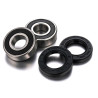 Kit roulements de roue FACTORY LINKS
