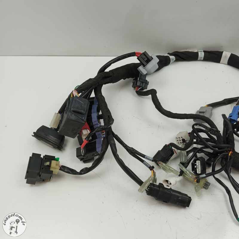 Faisceau électrique  Ktm 890 duke 2021 - Cassetom - Nos pieces motos