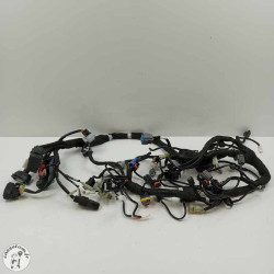 Faisceau électrique  Ktm 890 duke 2021 - Cassetom - Nos pieces motos