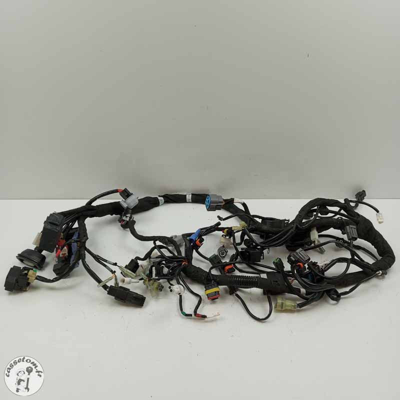 Faisceau électrique  Ktm 890 duke 2021 - Cassetom - Nos pieces motos