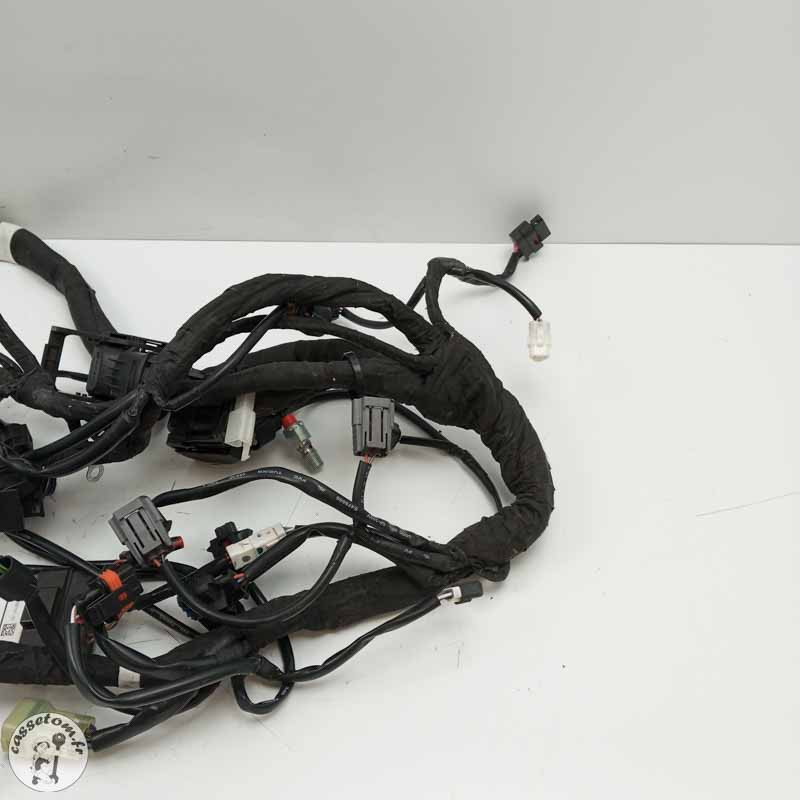 Faisceau électrique  Ktm 890 duke 2021 - Cassetom - Nos pieces motos