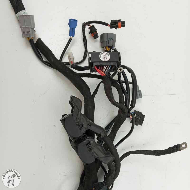 Faisceau électrique  Ktm 890 duke 2021 - Cassetom - Nos pieces motos