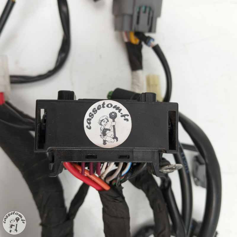 Faisceau électrique  Ktm 890 duke 2021 - Cassetom - Nos pieces motos