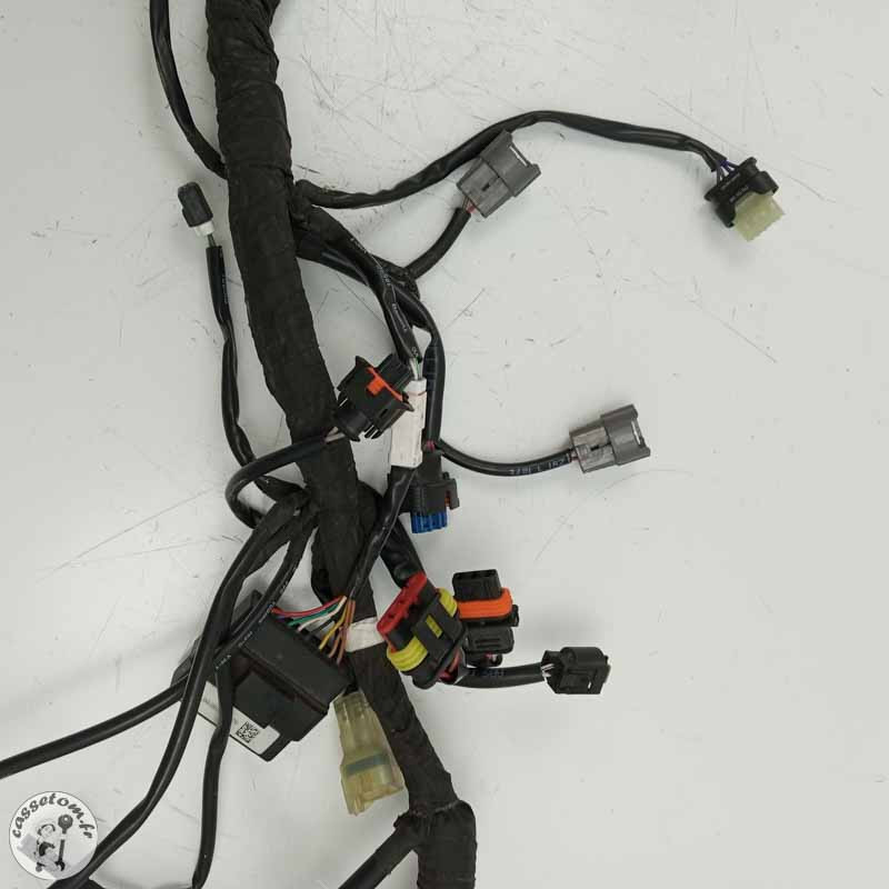 Faisceau électrique  Ktm 890 duke 2021 - Cassetom - Nos pieces motos