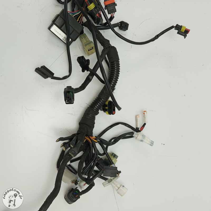 Faisceau électrique  Ktm 890 duke 2021 - Cassetom - Nos pieces motos