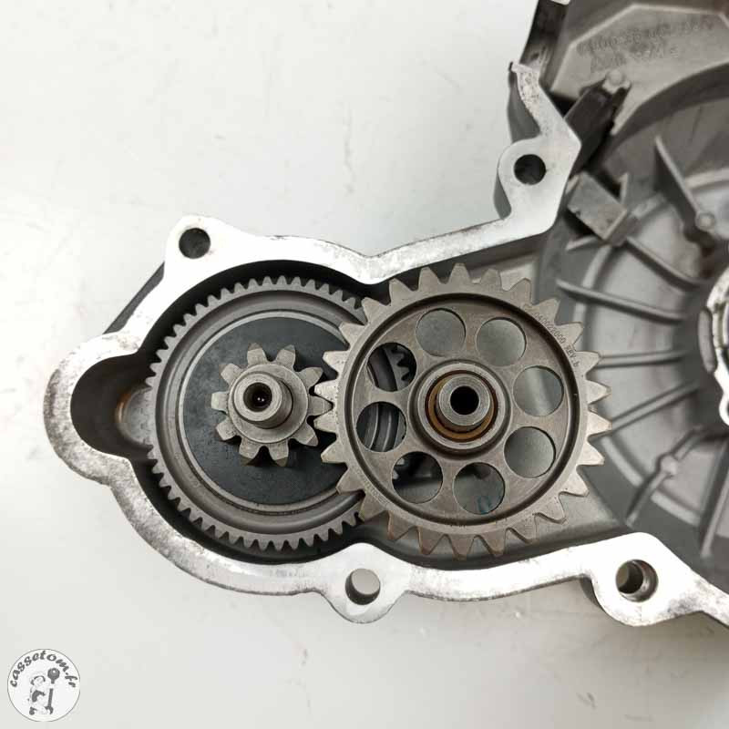 Carter d'allumage  CF moto 800 mt 2025 - Cassetom - Nos pieces motos