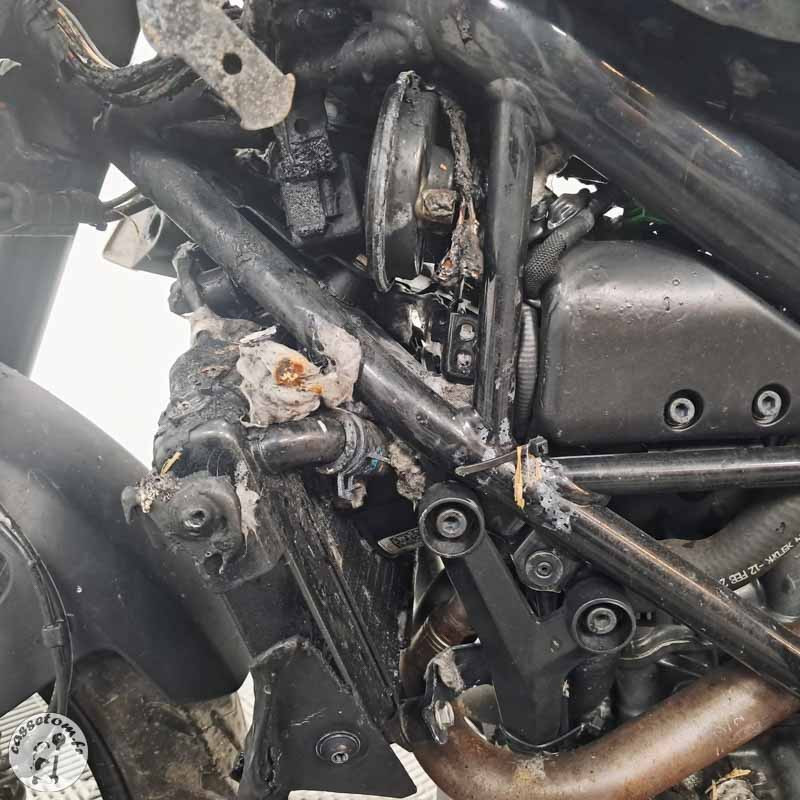 KTM 125 Duke 2021 Accidentée - Pièces Occasion | CasseTom
