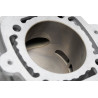 Kit cylindre MALOSSI H2O Ø65mm 172,5CC