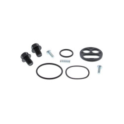Kit réparation robinet de carburant ALL BALLS