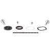 Kit réparation robinet de carburant - type rivet ALL BALLS