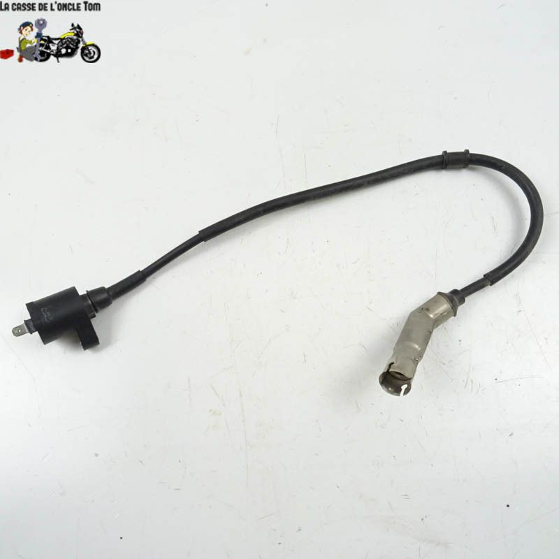 Bobine d'allumage  RAZZO 50 STRIKER 2015 - CTM-10701-022