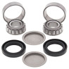 Kit roulements de bras oscillant ALL BALLS