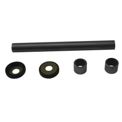 Kit roulements de bras oscillant ALL BALLS