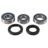 Kit roulements de roue ALL BALLS