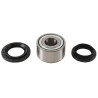Kit roulements de roue ALL BALLS