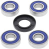 Kit roulements de roue ALL BALLS