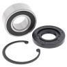 Kit de roulement et joint de transmission primaire interne ALL BALLS