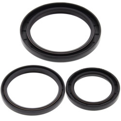 Kit joints de différentiel arrière ALL BALLS