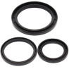 Kit joints de différentiel arrière ALL BALLS