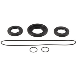 Kit joints de différentiel arrière ALL BALLS