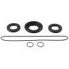Kit joints de différentiel arrière ALL BALLS