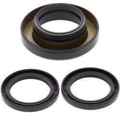 Kit joints de différentiel arrière ALL BALLS