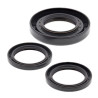 Kit joints de différentiel arrière ALL BALLS