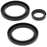 Kit joints de différentiel arrière ALL BALLS