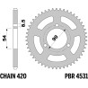 Couronne PBR acier standard - 420
