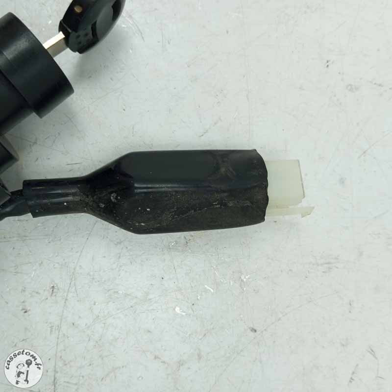Neiman  Peugeot 50 kisbee 2015 - Cassetom - Nos pieces motos