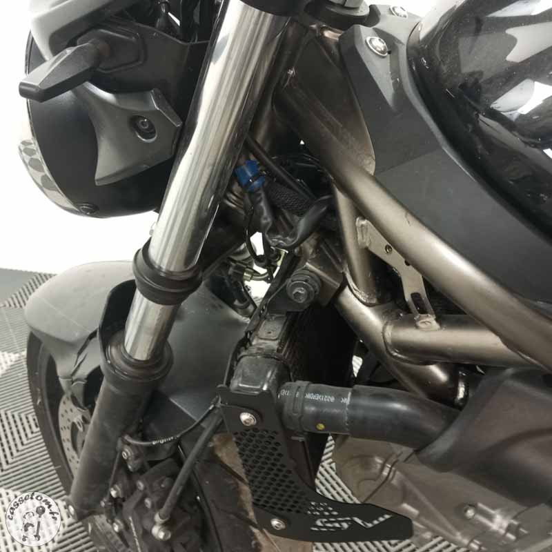 SUZUKI SV650 2023