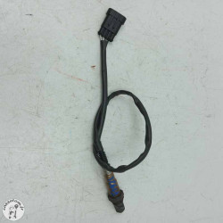 Sonde lambda noir  Ktm 790 duke l 2021 - Cassetom - Nos pieces motos